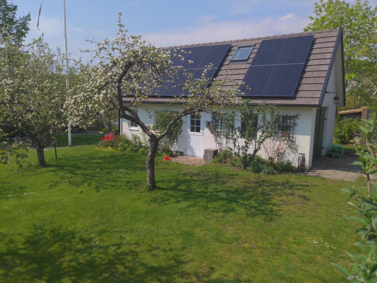 Lillan Hotel Torna Hallestad Eksteriør billede